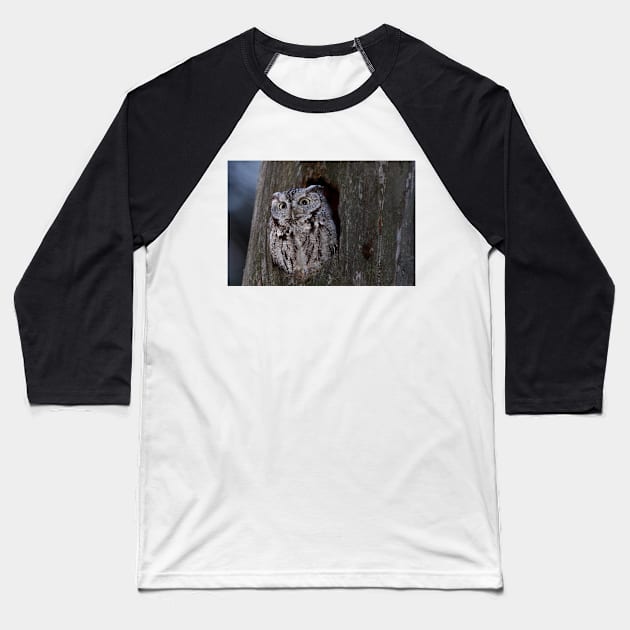 Eastern Screech-Owl Baseball T-Shirt by Jim Cumming